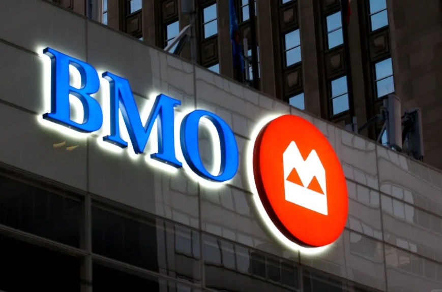 如果需要了解BMO（更多问题，可以添加vx：NaiquoyYu_